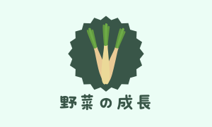 野菜の成長